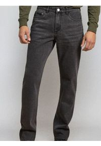Sinsay - Spodnie jeansowe regular fit - szary. Kolor: szary #1