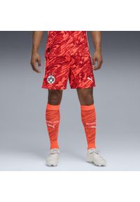 Puma - Męskie szorty bramkarskie Borussia Dortmund 25/26 PUMA. Kolor: czerwony, szary, wielokolorowy. Materiał: tkanina. Sport: fitness