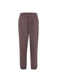Dziecięce spodnie dresowe polarowe Hummel Bee. Kolor: wielokolorowy, szary, brązowy. Materiał: polar, dresówka #1