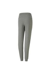 Spodnie treningowe dla dzieci Puma teamGOAL 23 Casuals Pants Jr. Kolor: szary. Sport: piłka nożna