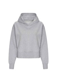 AWDIS - Damska Bluza Z Kapturem Just Hoods O Luźnym Kroju. Typ kołnierza: kaptur. Kolor: szary