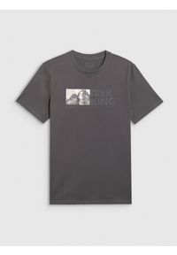 4f - 4F T-shirt regular z nadrukiem męski - szary L. Okazja: na co dzień. Kolor: szary. Materiał: dzianina, bawełna. Wzór: nadruk. Styl: casual #1