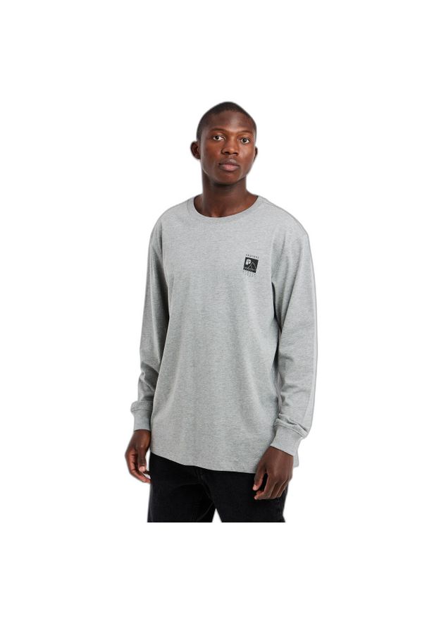 Koszulka Protest Shelby. Kolor: szary. Materiał: bawełna