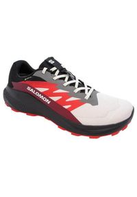 salomon - Buty do biegania męskie Salomon Alphaglide Gtx. Kolor: wielokolorowy. Materiał: materiał, syntetyk. Szerokość cholewki: normalna