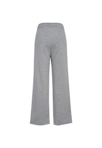 Spodnie dresowe dla dzieci Hummel Wl Bee. Kolor: szary. Materiał: dresówka #2