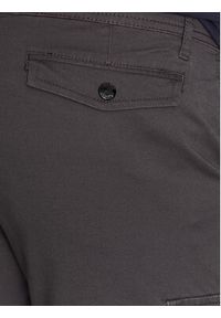 Regatta Spodnie materiałowe Bryer II RMJ273R Szary Regular Fit. Kolor: szary. Materiał: materiał, bawełna #4
