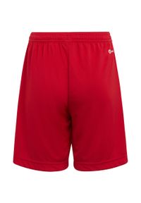 Adidas - Spodenki piłkarskie dla dzieci adidas Entrada 22. Kolor: czerwony. Materiał: poliester. Styl: sportowy