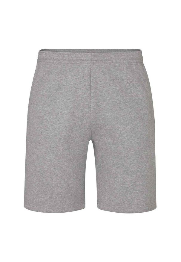 MANTIS - Spodenki Unisex Dla Dorosłych. Kolor: szary. Sport: turystyka piesza