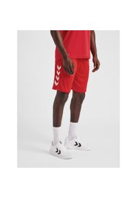 Spodenki piłkarskie męskie Hummel Core XK Poly Shorts. Kolor: różowy, wielokolorowy, czerwony. Sport: piłka nożna