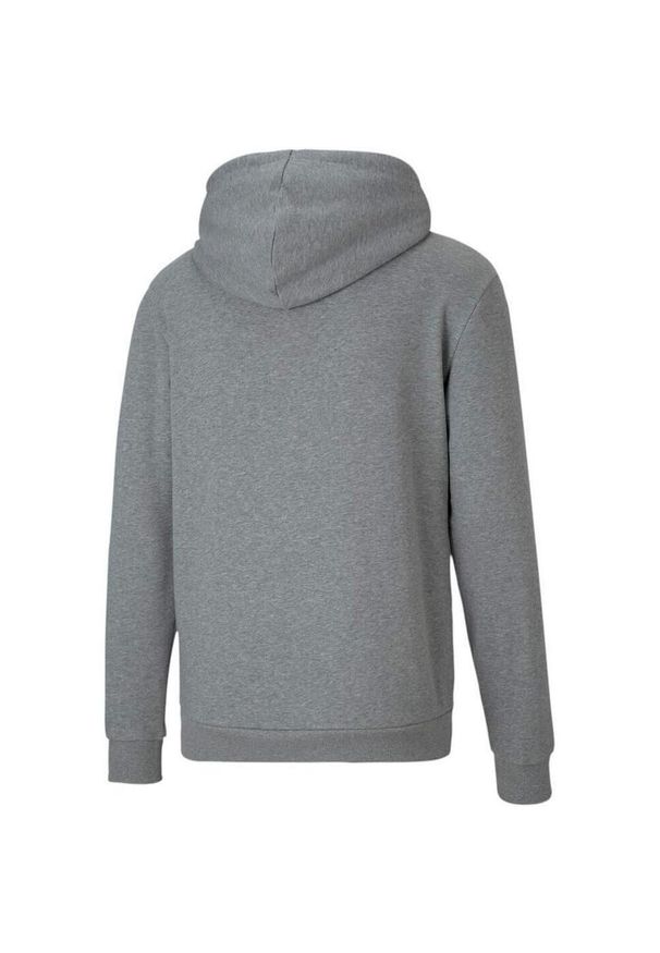 Puma - Męska Bluza Z Kapturem TeamGoal 23. Typ kołnierza: kaptur. Kolor: szary