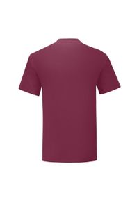 FRUIT OF THE LOOM - Kultowa Koszulka Unisex Dla Dorosłych. Kolor: czerwony, wielokolorowy, brązowy