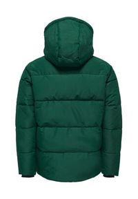 Only & Sons Kurtka zimowa 22025825 Zielony Regular Fit. Kolor: zielony. Materiał: syntetyk. Sezon: zima