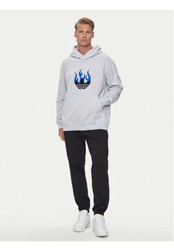 Adidas - adidas Bluza Flames Logo IS2947 Szary Regular Fit. Kolor: szary. Materiał: bawełna