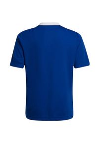 Adidas - Koszulka piłkarska dla dzieci adidas Entrada 22 Jersey. Kolor: niebieski. Materiał: jersey. Sport: piłka nożna