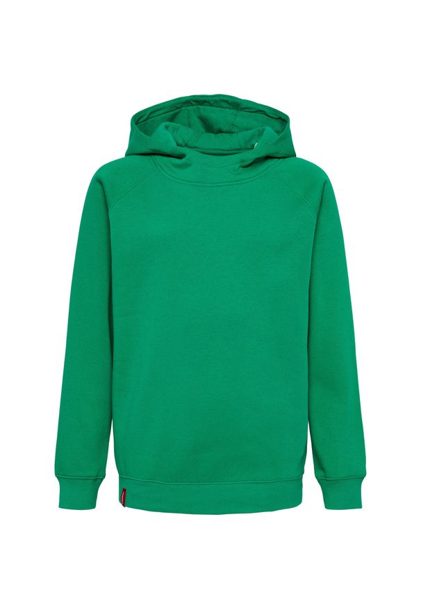 Bluza z kapturem dla dzieci Hummel Red Classic. Typ kołnierza: kaptur. Kolor: zielony