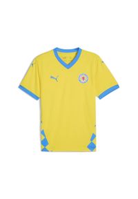 Puma - Męska koszulka domowa Eintracht Braunschweig 24/25 PUMA. Kolor: niebieski, wielokolorowy, żółty. Sport: piłka nożna