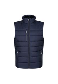 Regatta - Męski Ocieplacz Termiczny Navigate. Kolor: wielokolorowy, niebieski, szary. Sport: turystyka piesza #1