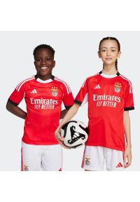 Adidas - Koszulka piłkarska dla dzieci Benfica 25/26 domowa. Sport: piłka nożna