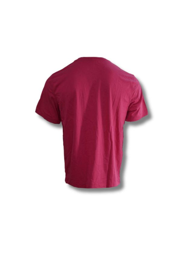 Koszulka sportowa unisex Air Jordan Mountainside Jumpman. Kolor: czerwony