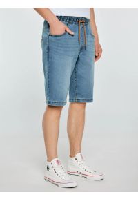 Big-Star - Szorty męskie jeansowe niebieskie Parker 445. Kolor: niebieski. Materiał: jeans. Styl: klasyczny, elegancki #5
