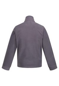 Regatta - Bluza Polarowa Męska Classic. Kolor: szary. Materiał: polar. Sezon: zima. Styl: sportowy. Sport: turystyka piesza #2