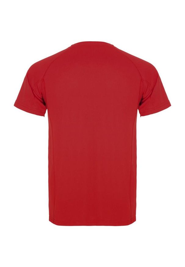 ROLY - Męska Koszulka Sportowa Montecarlo Z Krótkim Rękawem. Kolor: czerwony. Długość rękawa: krótki rękaw. Długość: krótkie. Sport: turystyka piesza