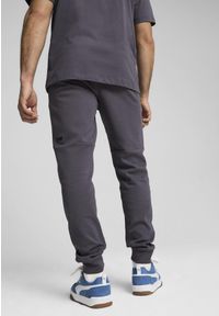 Puma - Męskie spodnie RAD/CAL PUMA Galactic Gray. Kolor: szary. Materiał: dzianina. Sport: fitness