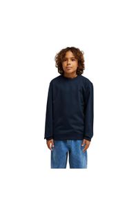 Quiksilver - Bluza dla Chłopcy BASIC Czarny. Okazja: na co dzień. Kolor: niebieski. Materiał: poliester, bawełna, tkanina. Wzór: haft. Styl: casual #1