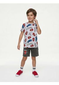 Sinsay - Szorty cargo z efektem sprania Spider-Man - szary. Kolor: szary #1