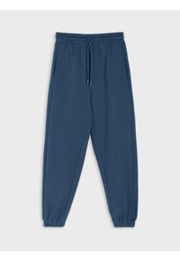 Sinsay - Spodnie dresowe jogger - granatowy. Kolor: niebieski. Materiał: dresówka #1