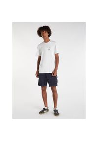 Spodenki męskie Protest PRTNYTRO cargoshort. Kolor: niebieski. Materiał: bawełna. Sezon: lato. Sport: turystyka piesza #1