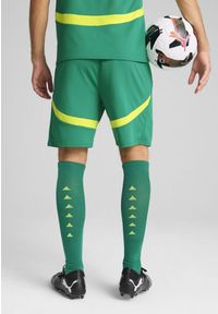 Puma - Męskie szorty Senegal 2025 PUMA Sport Green Electric Lime. Kolor: zielony. Wzór: aplikacja