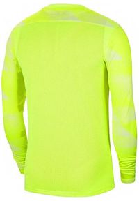 Bluza bramkarska dla dzieci Nike Dry Park IV JSY LS GK Junior limonkowa. Kolor: zielony