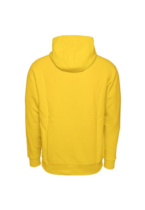 Bluza sportowa męska Nike Team Park 20 Hoodie. Typ kołnierza: kaptur. Kolor: żółty, wielokolorowy, czarny