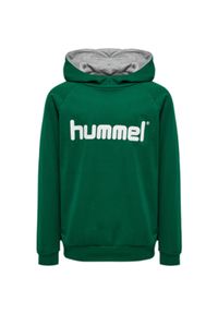 Bluza z kapturem dla dzieci Hummel Cotton Logo. Typ kołnierza: kaptur. Kolor: wielokolorowy, zielony, biały