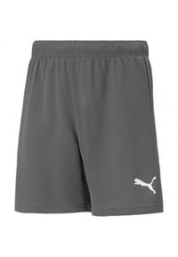 Puma - Spodenki TeamRISE Dla Dzieci. Kolor: szary. Styl: sportowy. Sport: turystyka piesza
