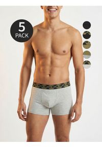 Sinsay - Bokserki classic 5 pack - wielobarwny #1