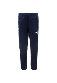 Puma - Spodnie Sportowe PUMA JR Peacoat 116 - Optymalny Komfort i Swoboda Ruchu. Kolor: niebieski. Materiał: poliester. Sport: piłka nożna