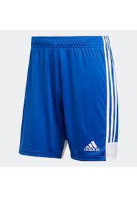 Adidas - Krótkie spodenki piłkarskie adidas Tastigo 19 Męskie. Kolor: niebieski. Długość: krótkie. Sport: piłka nożna #1