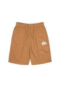 Quiksilver - Spodenki z elastyczną talią dla Chłopcy EASY DAY Brązowy. Kolor: brązowy. Materiał: poliester, bawełna, tkanina. Długość: krótkie. Sezon: lato #1