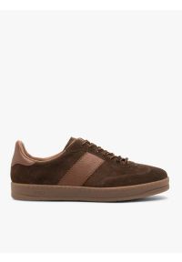 Ryłko - Brązowe sportowe półbuty damskie. Okazja: na co dzień. Kolor: brązowy. Materiał: skóra, welur. Styl: sportowy #1