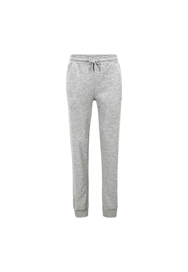 Fila - Spodnie męskie FILA Braives Sweet. Kolor: szary. Długość: długie