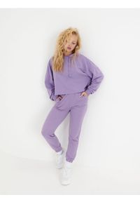 Sinsay - Spodnie dresowe basic - fioletowy. Kolor: fioletowy. Materiał: dresówka