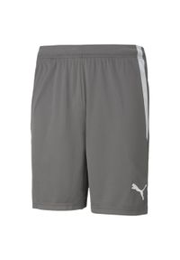 Spodenki Puma Teamliga 13 Dorosłych. Kolor: szary, wielokolorowy, biały. Sport: piłka nożna #1