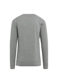 BUILD YOUR BRAND - Wrzosowa, Lekka Bluza Z Okrągłym Dekoltem Unisex Dla Dorosłych. Kolor: szary