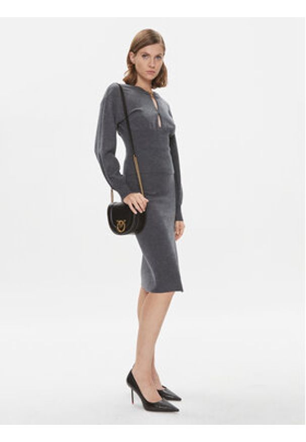 Pinko Sweter Chioccia 101848 A15S Szary Regular Fit. Kolor: szary. Materiał: wełna