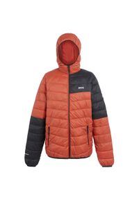 Regatta - Męska Kurtka Hillpack III Hooded Active Padded Jacket. Kolor: czerwony, wielokolorowy, czarny. Materiał: puch. Sport: turystyka piesza