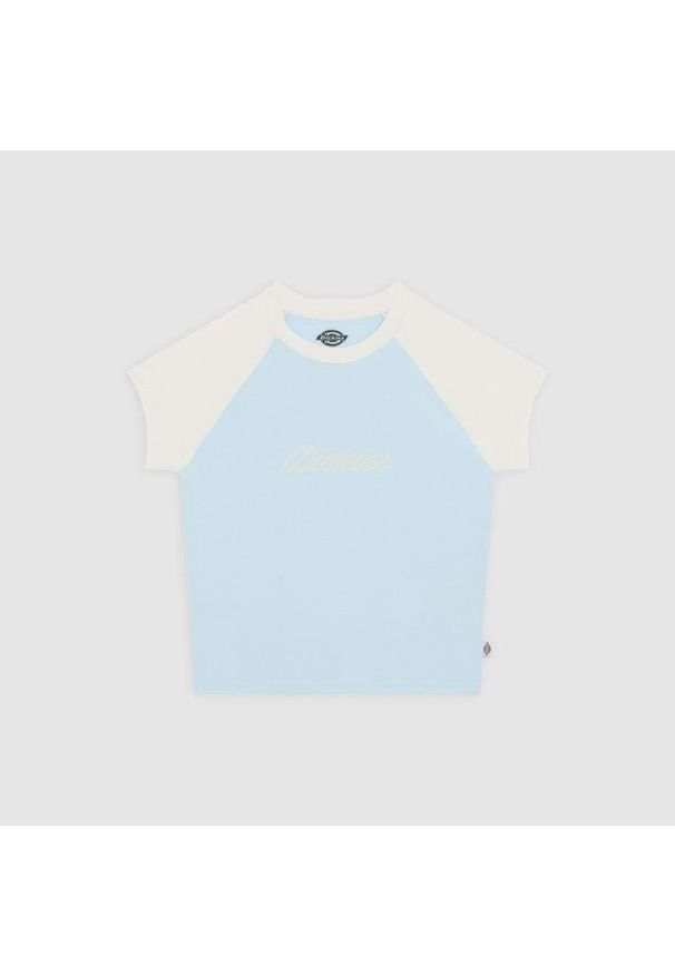 Koszulka Dickies Rope skyway. Kolor: biały, wielokolorowy. Sport: skateboard