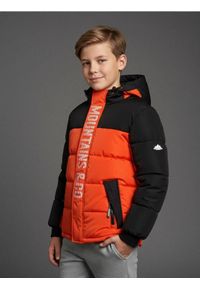 Sinsay - Kurtka ocieplana z kapturem - pomarańczowy. Typ kołnierza: kaptur. Kolor: pomarańczowy #1