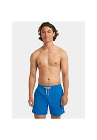 Szorty Męskie O'Neill Vert 16''. Kolor: niebieski #1